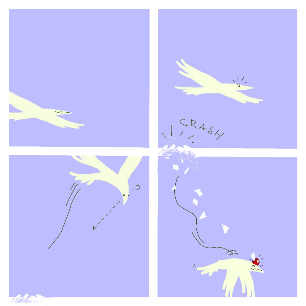 Four panels comic by quasi of a bird that flies against a panel border.